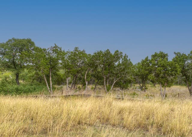 615  Carson Ridge, New Braunfels, TX 78132 — photo 11
