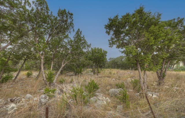 615  Carson Ridge, New Braunfels, TX 78132 — photo 12