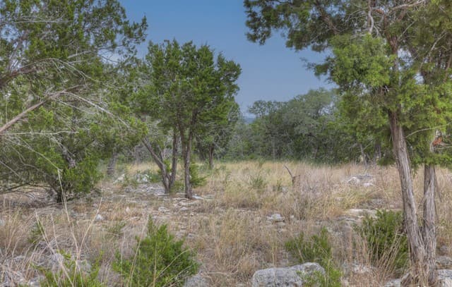 615  Carson Ridge, New Braunfels, TX 78132 — photo 13