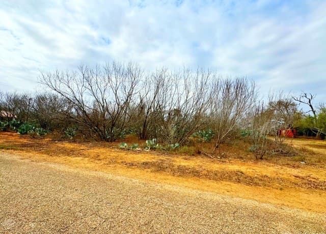 TBD  Old Hwy 81 Lot 4, Moore, TX 78057 — photo 3