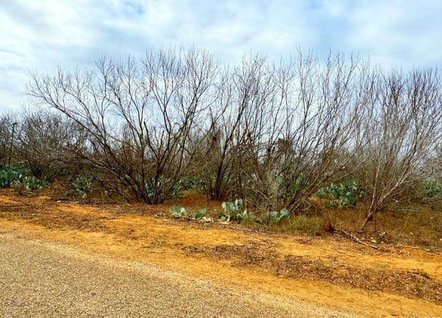 TBD  Old Hwy 81 Lot 4, Moore, TX 78057 — photo 4
