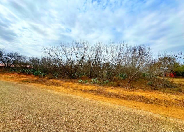 TBD  Old Hwy 81 Lot 4, Moore, TX 78057 — photo 5
