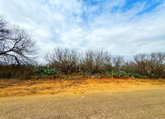 TBD  Old Hwy 81 Lot 4, Moore, TX 78057 — photo 6