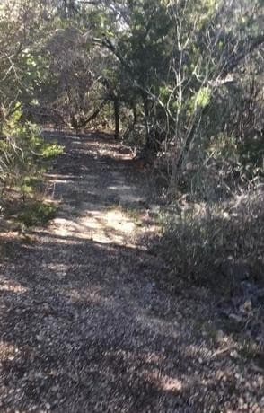 1124  County Road 273, Mico, TX 78056 — photo 14
