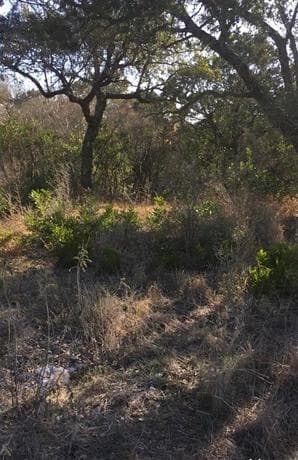 1124  County Road 273, Mico, TX 78056 — photo 15