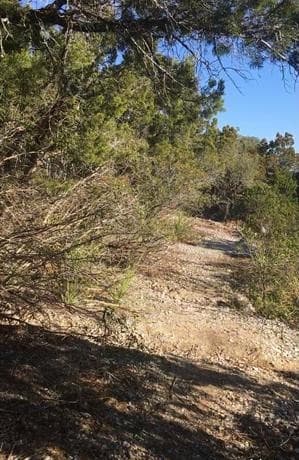 1124  County Road 273, Mico, TX 78056 — photo 16