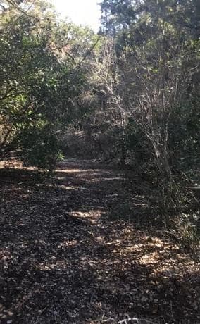 1124  County Road 273, Mico, TX 78056 — photo 17