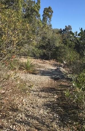 1124  County Road 273, Mico, TX 78056 — photo 18