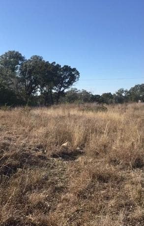1124  County Road 273, Mico, TX 78056 — photo 21