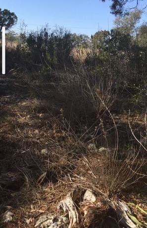 1124  County Road 273, Mico, TX 78056 — photo 22