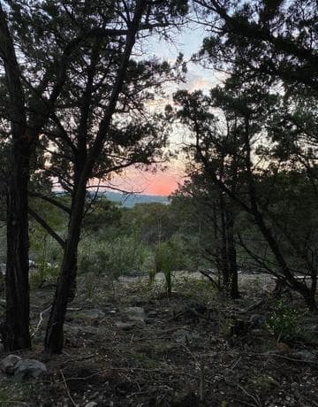 1124  County Road 273, Mico, TX 78056 — photo 9