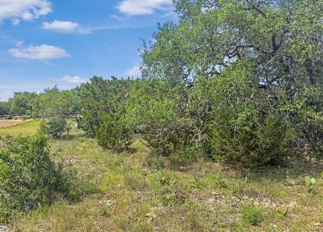 628  Indian Trail, Spring Branch, TX 78070 — photo 17
