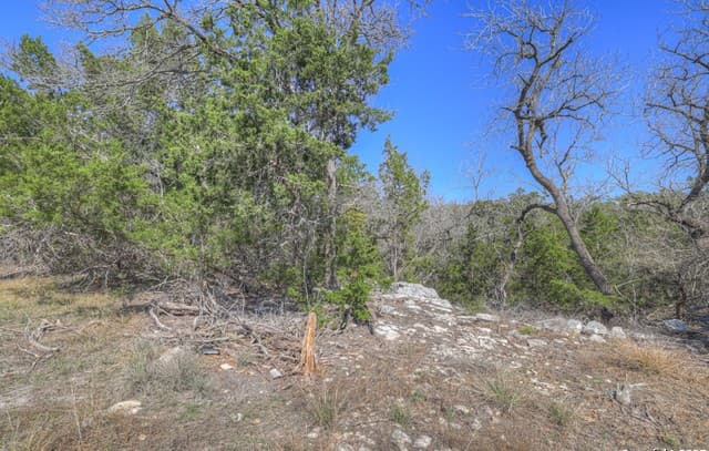 1436  Stahlman Way, New Braunfels, TX 78132 — photo 15