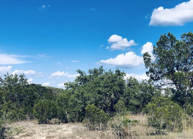 1020 Cliff Circle, Spring Branch, TX 78070