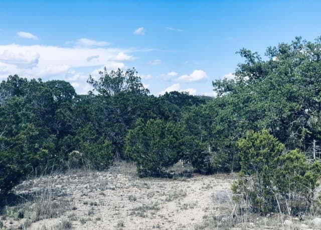 1020  Cliff Circle, Spring Branch, TX 78070 — photo 11