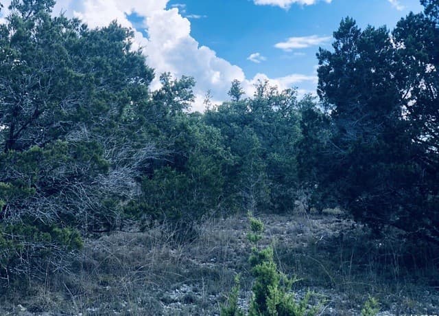 1020  Cliff Circle, Spring Branch, TX 78070 — photo 12
