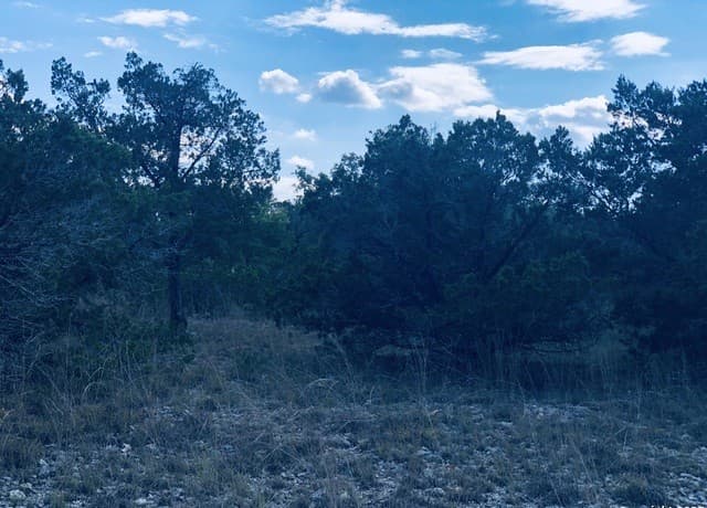 1020  Cliff Circle, Spring Branch, TX 78070 — photo 13