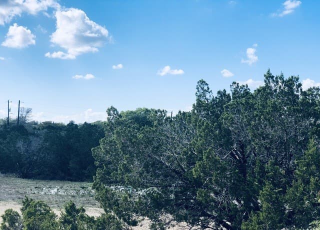 1020  Cliff Circle, Spring Branch, TX 78070 — photo 4