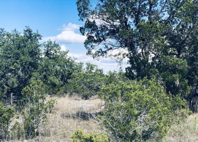 1020  Cliff Circle, Spring Branch, TX 78070 — photo 5