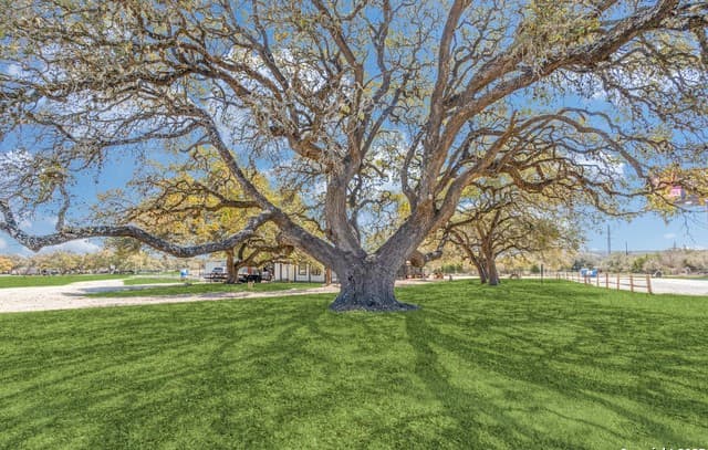2682  Us-281, Blanco, TX 78606 — photo 25