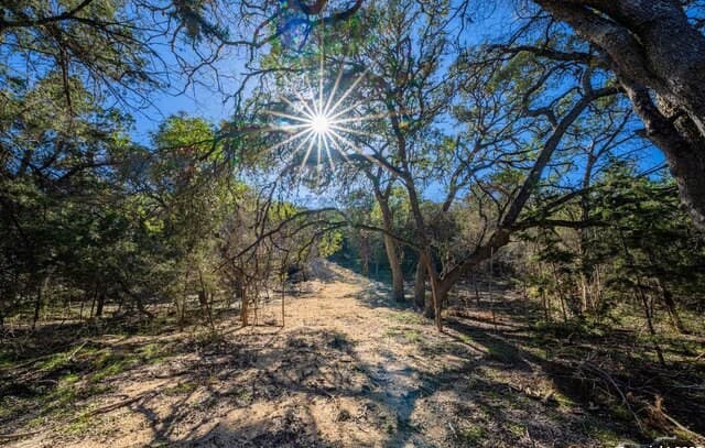 345  Lake Ridge, Helotes, TX 78023 — photo 10