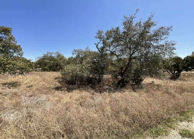137  Restless Wind, San Antonio, TX 78070 — photo 3