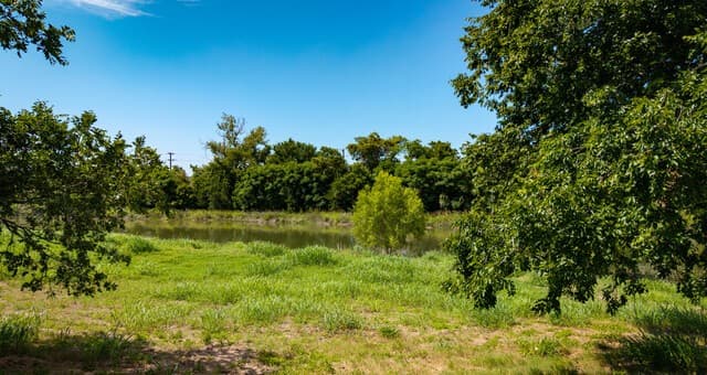 TBD  Lost Acres Loop, Blanco, TX 78606 — photo 23