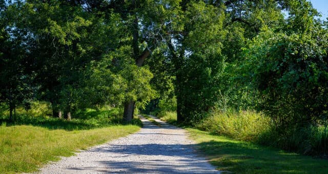 TBD  Lost Acres Loop, Blanco, TX 78606 — photo 25
