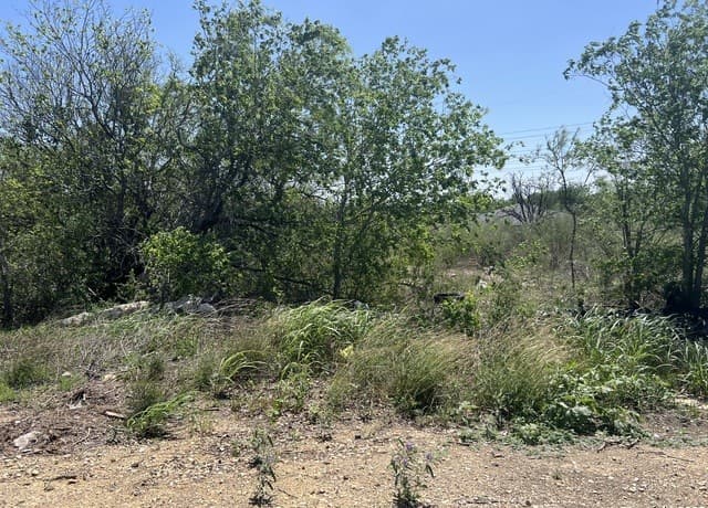 710  Hampton, San Antonio, TX 78220