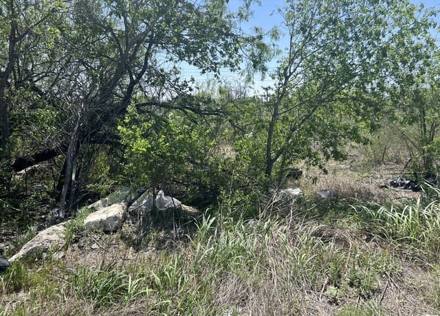 710  Hampton, San Antonio, TX 78220 — photo 3