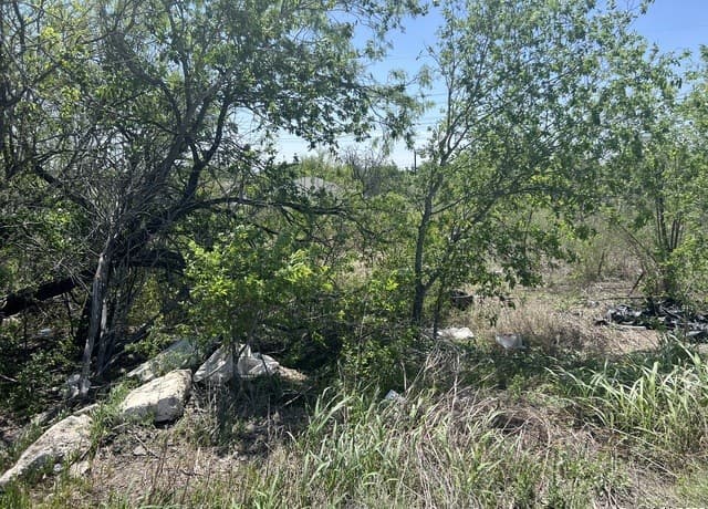 710  Hampton, San Antonio, TX 78220 — photo 4