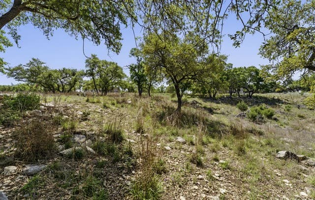 2480  Bella Vis, Canyon Lake, TX 78133 — photo 7