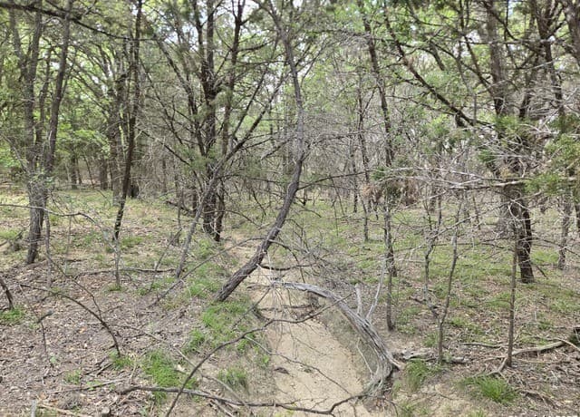 555  Iroquois Trl, Bandera, TX 78003 — photo 22