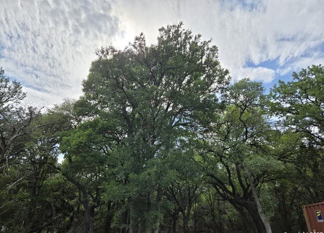 555  Iroquois Trl, Bandera, TX 78003 — photo 25