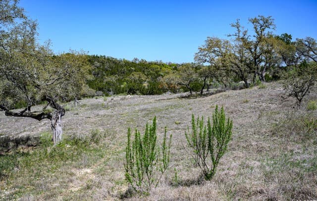 5922  Colin Rdg, New Braunfels, TX 78132 — photo 21