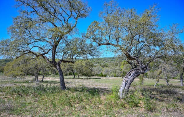 5922  Colin Rdg, New Braunfels, TX 78132 — photo 23