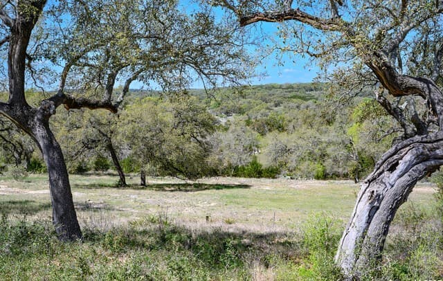 5922  Colin Rdg, New Braunfels, TX 78132 — photo 25