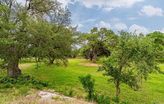 107  Nicholas Weeks, Blanco, TX 78606 — photo 2