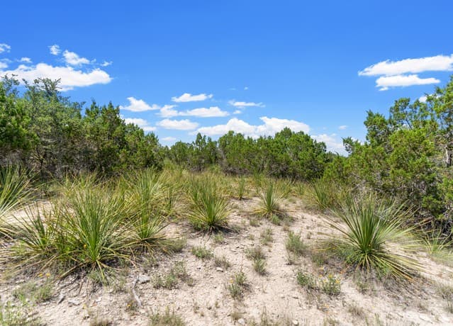 241  Restless Wind, Spring Branch, TX 78070 — photo 12