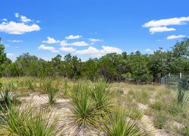 241  Restless Wind, Spring Branch, TX 78070 — photo 14