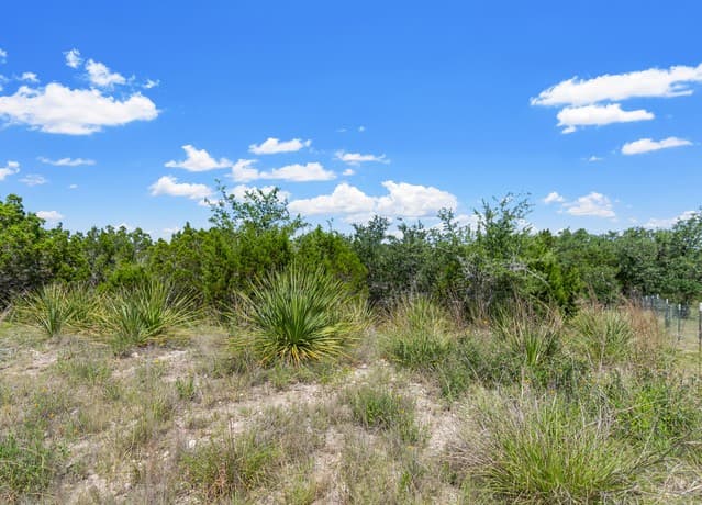 241  Restless Wind, Spring Branch, TX 78070 — photo 16