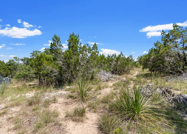 241  Restless Wind, Spring Branch, TX 78070 — photo 4