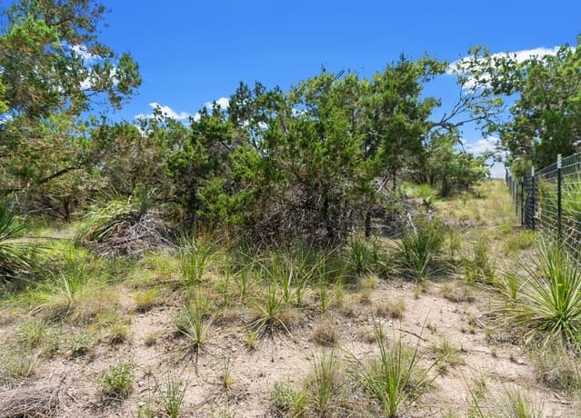 241  Restless Wind, Spring Branch, TX 78070 — photo 5