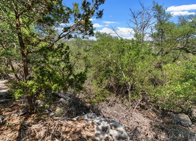 241  Restless Wind, Spring Branch, TX 78070 — photo 8
