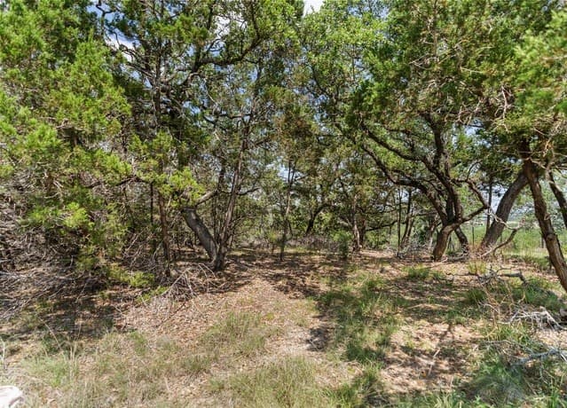 241  Restless Wind, Spring Branch, TX 78070 — photo 9