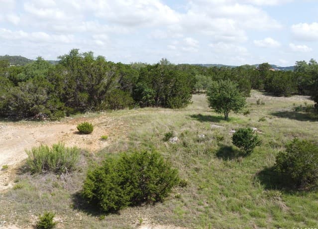 233  Rosinweed, Spring Branch, TX 78070 — photo 6