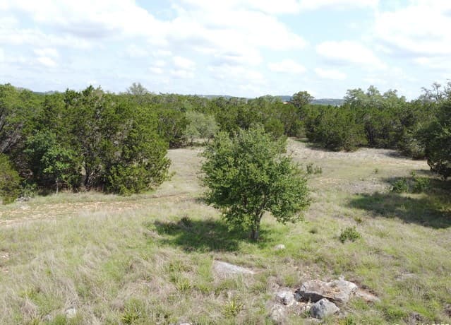 233  Rosinweed, Spring Branch, TX 78070 — photo 7
