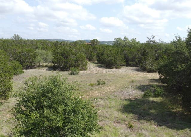 233  Rosinweed, Spring Branch, TX 78070 — photo 8