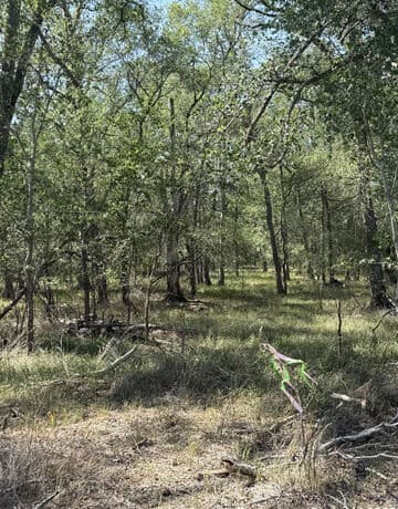 421  Kerr Ave, Sutherland Springs, TX 78161 — photo 5