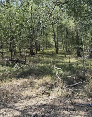 421  Kerr Ave, Sutherland Springs, TX 78161 — photo 6